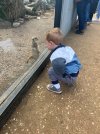 IMG_5409.jpeg