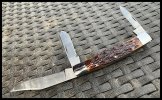 IMG_5956.jpeg