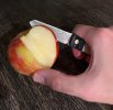 LuckyDog-Apple2.jpg