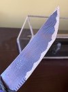 IMG_4560.jpeg