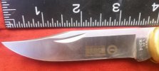 CAM02223-1.jpg