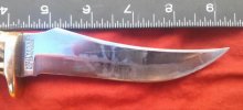 CAM02205-1.jpg