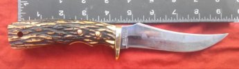 CAM02204-1.jpg