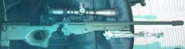 338lapua.jpg