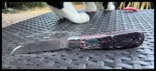 IMG_5974.jpeg