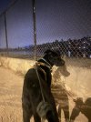 IMG_4144.jpeg