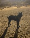 IMG_4149.jpeg