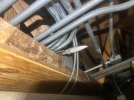 IMG_6785.jpeg