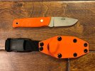 IMG_3606.jpeg