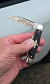 20240927_070758.jpg