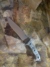 IMG_1224.jpeg