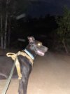 IMG_4240.jpeg