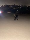 IMG_4251.jpeg