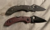 IMG_8240.jpeg