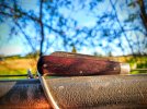 20241001_081307-EDIT.jpg
