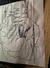 IMG_9099.jpeg