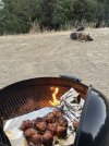 IMG_8156.jpeg