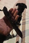 IMG_4295.jpeg