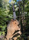 IMG_3612.jpeg