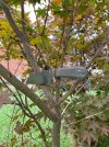 IMG_8322.jpeg