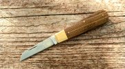 KIMG7525~2.JPG