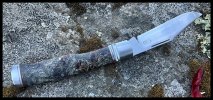 IMG_6141.jpeg