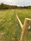 IMG_9574.jpeg