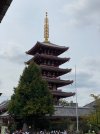 IMG_8386.jpeg