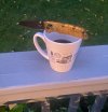 IMG_9931.jpeg