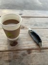 IMG_2831.jpeg