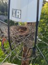IMG_6543.jpeg