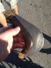 IMG_0188.jpeg