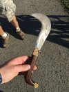 IMG_0187.jpeg