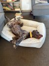 IMG_5879.jpeg
