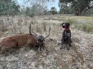 IMG_4442.jpeg