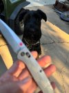 IMG_2777.jpeg