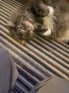 IMG_9246.jpeg