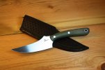 Skinner (1)b.jpg