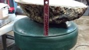 burl1.jpg