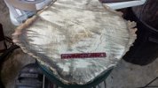 burl2.jpg