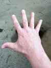 20241006_174626.jpg