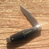 KIMG7937~2.JPG