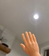 IMG_2593.jpeg