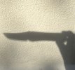 IMG_9566.jpeg