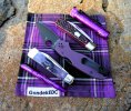 2024-10-08 Purple CASE62130 GEC47 PM3.JPG