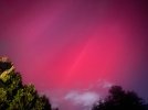 IMG_6858.jpeg