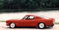 Mustang.jpg