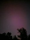 20241010_214557.jpg