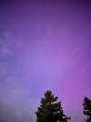 IMG_3183.jpeg