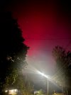 IMG_9451.jpeg